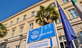 Il Liceo Fabio Filzi in Sintesi