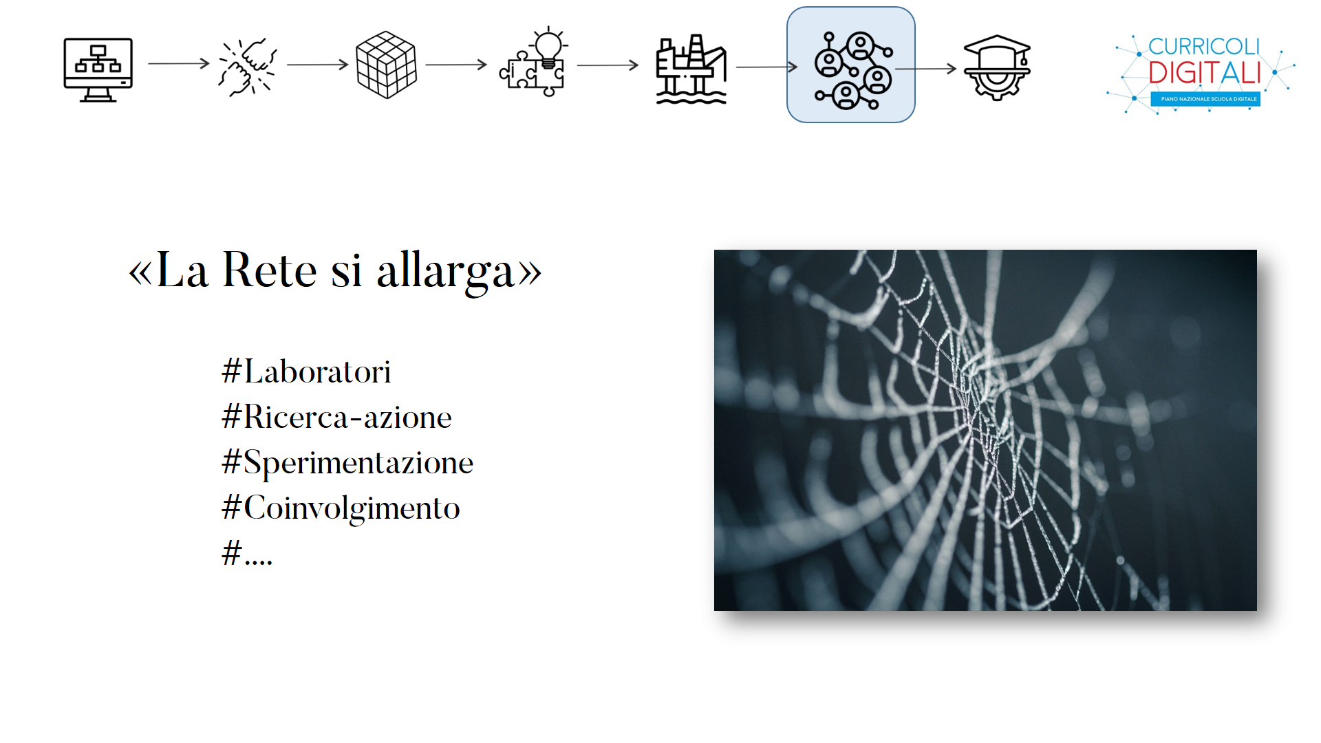Rete web