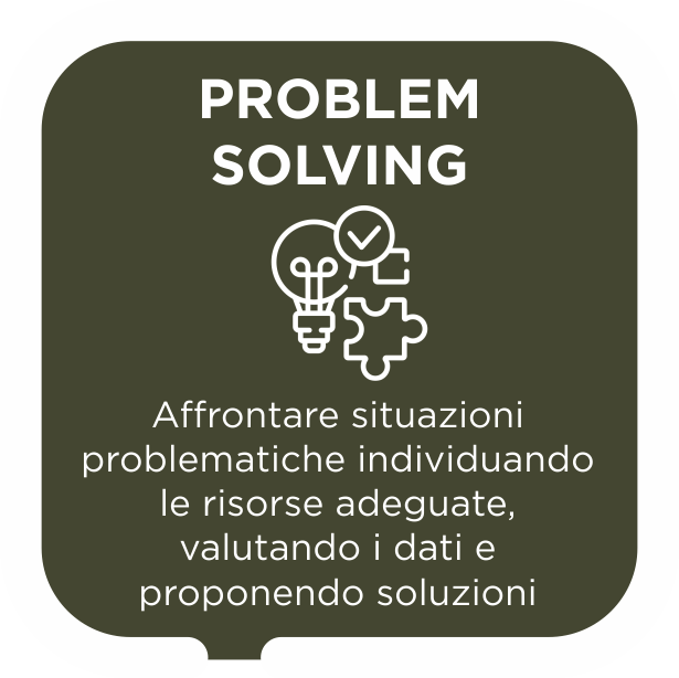 Problem solving