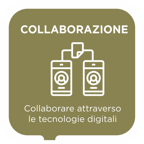 Collaborazione