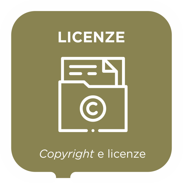 Licenze